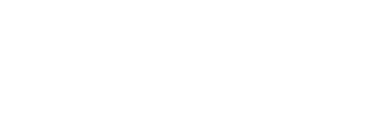 bradford health nav logo