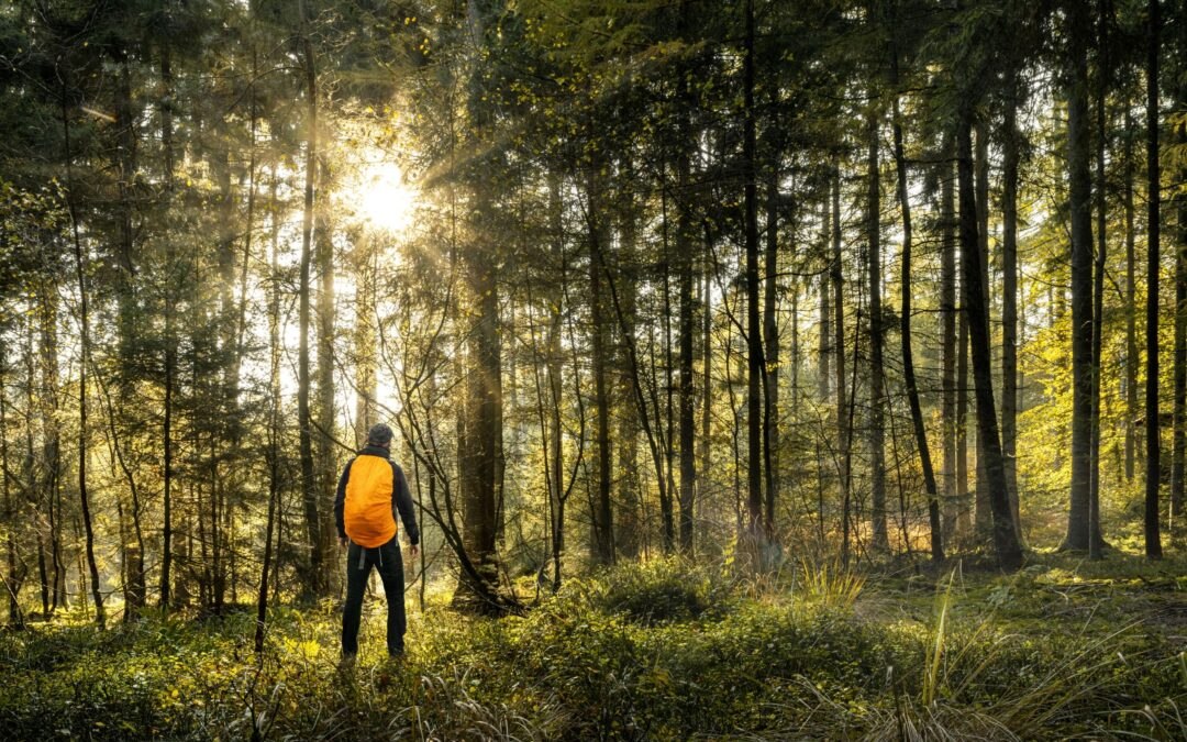 Recovery Stories: Adam