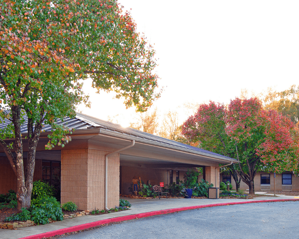 Addiction-Recovery-in-Madison-AL